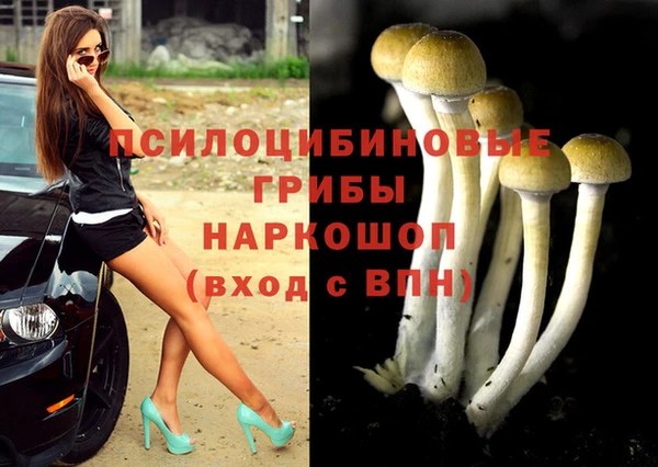 гидропоника Богородицк