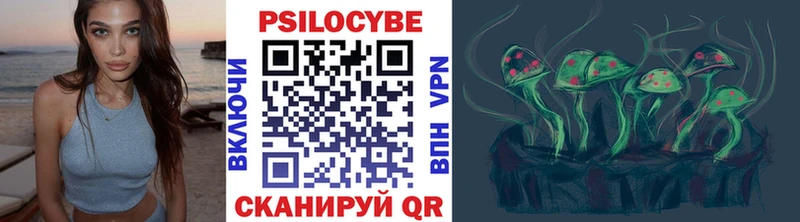 Галлюциногенные грибы Magic Shrooms  даркнет клад  blacksprut сайт  Козловка  где купить наркоту 
